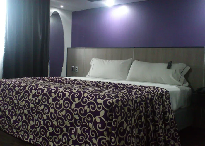 Max Hotel 3*