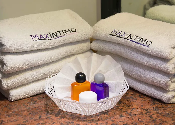 Max Hotel 3*